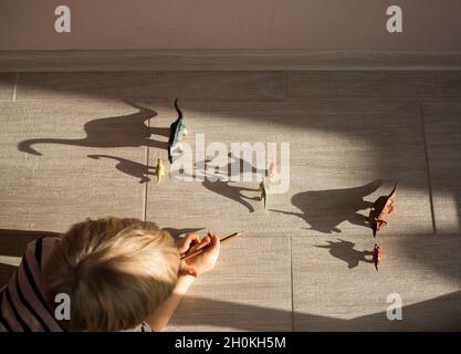 Vorschulkinder zu Hause spielen auf dem Boden mit Schatten von Spielzeug-Dinosaurier-Figuren. Spiele von Licht und Schatten, Silhouetten. Selektiver Fokus. Stockfoto