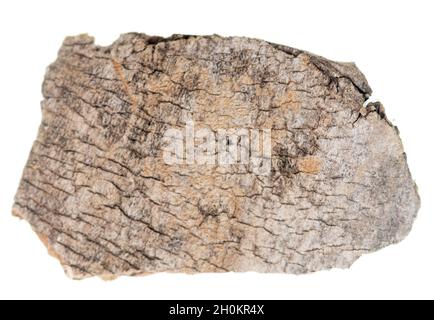 Altes Holz auf weißem Hintergrund Stockfoto