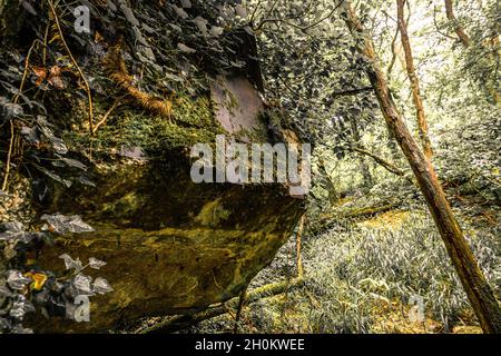 Alte gesprengte Überreste von einigen Bunkern der Siegfried Line entlang der Grenze, unterirdische Festungen, Luftabwehrpositionen und Luftschutzkeller Stockfoto