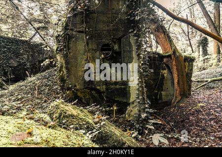 Alte gesprengte Überreste von einigen Bunkern der Siegfried Line entlang der Grenze, unterirdische Festungen, Luftabwehrpositionen und Luftschutzkeller Stockfoto