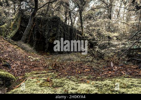 Alte gesprengte Überreste von einigen Bunkern der Siegfried Line entlang der Grenze, unterirdische Festungen, Luftabwehrpositionen und Luftschutzkeller Stockfoto