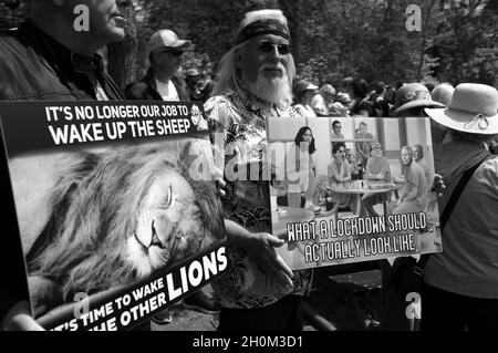 Toronto Freedom Rally gegen Lockdowns und Impfmandate Stockfoto