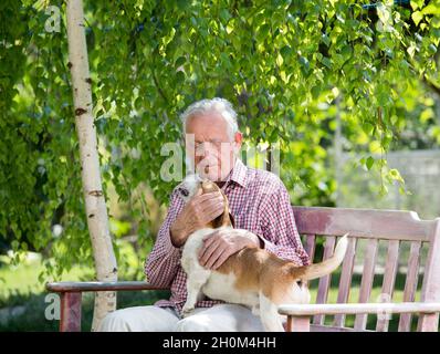 Alter Mann kuschelt Hund auf Bank im Garten im Frühjahr Stockfoto