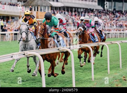 Galoppierende Rennpferde und Jockeys auf einem Sommerwochenende-Event auf der York Racecourse York, Yorkshire, England 2021 - Schnellschnellrennen Stockfoto