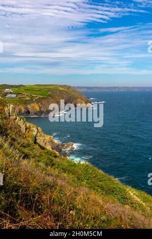 Felsige Klippen und Küstenlinie im Sommer in Cadgwith Cove auf dem South West Coast Path in der Nähe von Lizard Point im Süden von Cornwall, England. Stockfoto