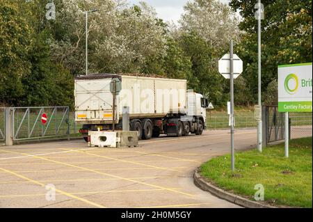 Zuckerrüben werden mit Sattelschlepper an die Cantley-Zuckerrübenfabrik in norfolk England geliefert Stockfoto