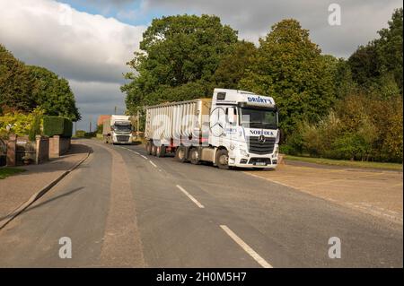 Zuckerrüben werden mit Sattelschlepper an die Cantley-Zuckerrübenfabrik in norfolk England geliefert Stockfoto