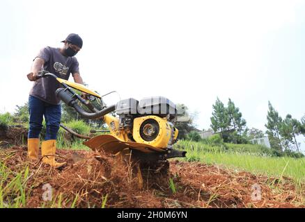 Bandung, Indonesien-29. September 2021: Bauern pflügen die Felder mit einer Pflugmaschine Stockfoto