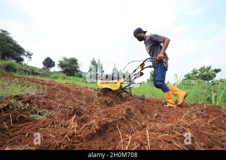 Bandung, Indonesien-29. September 2021: Bauern pflügen die Felder mit einer Pflugmaschine Stockfoto