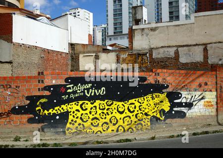 Wandbild eines jaguar auf einer Ziegelwand, aus Protest gegen den Handel mit Wildtieren und die Zerstörung der tropischen Tieflandwälder Boliviens hauptsächlich für die Landwirtschaft. Die Tötung von Jaguaren durch Viehzüchter und Wilderer (die häufig Zähne, Häute und andere Teile an vor allem chinesische Wildtierhändler verkaufen) hat in den letzten Jahren erheblich zugenommen und zu einem emotionalen Problem in Bolivien geworden. Sopocachi, La Paz, Bolivien Stockfoto