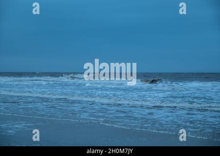 Dunkles und düsteres Wetter am Meer mit großen, krachenden Wellen, die im frühen Frühling am Strand auf das sandige Ufer plätschern Stockfoto