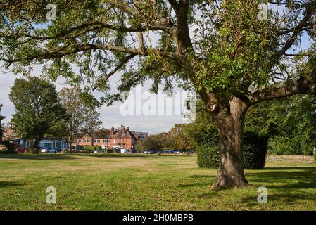 Chislehurst Common im Frühherbst, Kent, Südostengland, mit Blick auf die High Street Stockfoto