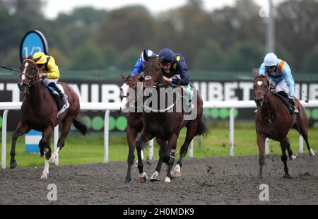 Harry Three mit Jockey Adam Kirby (Mitte) gewinnt die Unibet Casino Einzahlung 10 Holen Sie sich 40 Bonus Novice Stakes auf der Kempton Park Racecourse, Surrey. Bilddatum: Mittwoch, 13. Oktober 2021. Stockfoto