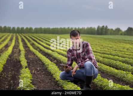 Junger, hübscher Bauer mit einer Tablette, die im Frühjahr auf dem Sojabohnenfeld hockt. Agrobusiness- und Innovationskonzept Stockfoto