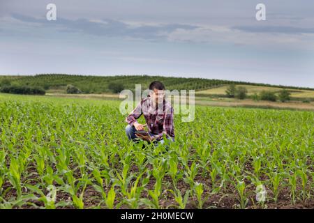 Junger, hübscher Bauer mit einer Tablette, die im Frühjahr auf dem Maisfeld hockt. Agrobusiness- und Innovationskonzept Stockfoto