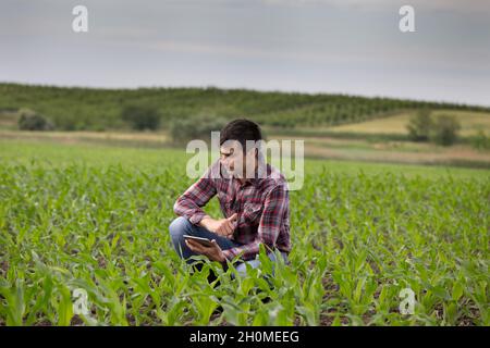 Junger, hübscher Bauer mit einer Tablette, die im Frühjahr auf dem Maisfeld hockt. Agrobusiness- und Innovationskonzept Stockfoto