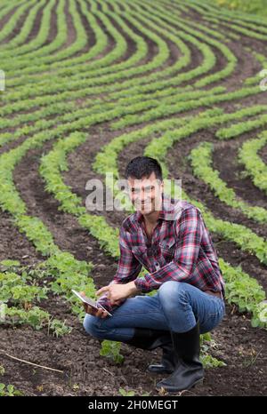 Junger, hübscher Bauer mit einer Tablette, die im Frühjahr auf dem Sojabohnenfeld hockt. Agrobusiness- und Innovationskonzept Stockfoto