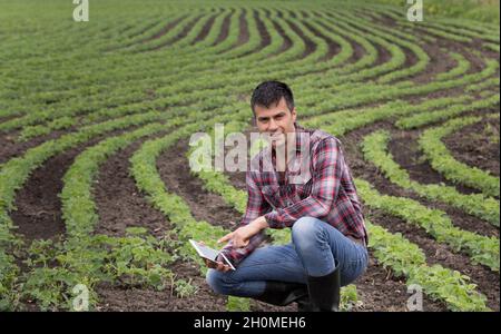 Junger, hübscher Bauer mit einer Tablette, die im Frühjahr auf dem Maisfeld hockt. Agrobusiness- und Innovationskonzept Stockfoto