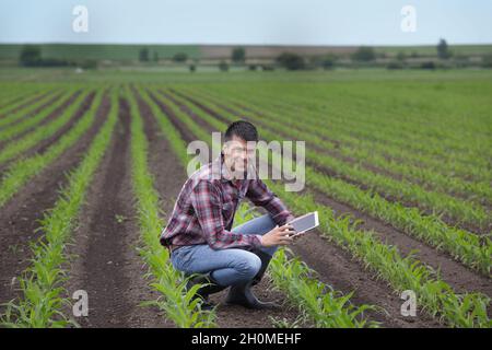 Junger, hübscher Bauer mit einer Tablette, die im Frühjahr auf dem Maisfeld hockt. Agrobusiness- und Innovationskonzept Stockfoto