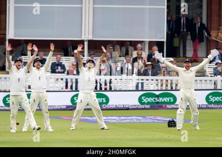 (Von links) Englands Ben Stokes, David Malan, Alastair Cook und Jonny Barstow appellieren für das Dickicht des pakistanischen Faheem Ashraf Stockfoto