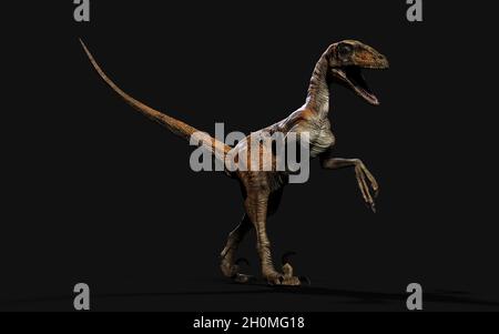 3d Illustration Pose von deinonychus antirrhopus die ikonischsten und repräsentativsten Dinosaurier auf dunklem Hintergrund mit Beschneidungspfad. Dinosaurier-Konzept. Stockfoto