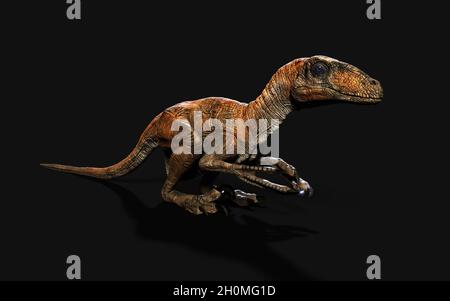 3d Illustration Pose von deinonychus antirrhopus die ikonischsten und repräsentativsten Dinosaurier auf dunklem Hintergrund mit Beschneidungspfad. Dinosaurier-Konzept. Stockfoto