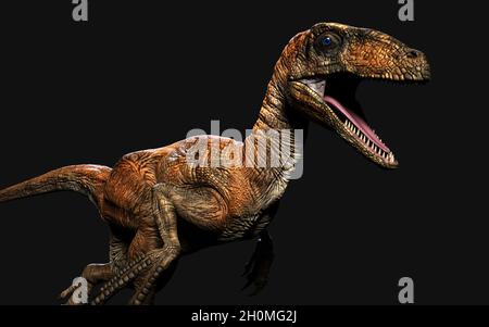 3d Illustration Pose von deinonychus antirrhopus die ikonischsten und repräsentativsten Dinosaurier auf dunklem Hintergrund mit Beschneidungspfad. Dinosaurier-Konzept. Stockfoto