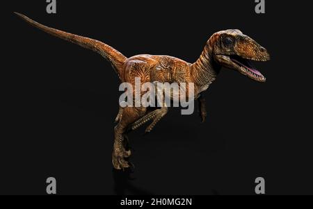 3d Illustration Pose von deinonychus antirrhopus die ikonischsten und repräsentativsten Dinosaurier auf dunklem Hintergrund mit Beschneidungspfad. Dinosaurier-Konzept. Stockfoto