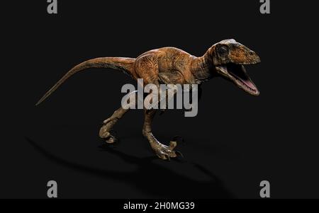 3d Illustration Pose von deinonychus antirrhopus die ikonischsten und repräsentativsten Dinosaurier auf dunklem Hintergrund mit Beschneidungspfad. Dinosaurier-Konzept. Stockfoto