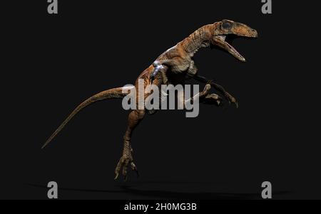 3d Illustration Pose von deinonychus antirrhopus die ikonischsten und repräsentativsten Dinosaurier auf dunklem Hintergrund mit Beschneidungspfad. Dinosaurier-Konzept. Stockfoto