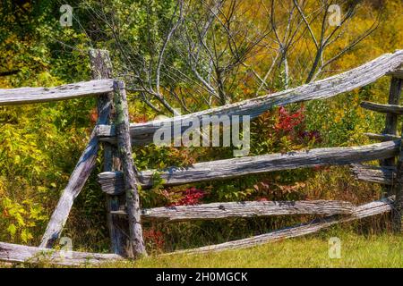 Hölzerner Eisenbahnzaun im Grayson Highlands State Park in Virginas Highlands in der Nähe von Mount Rogers und Whitetop Mountains. Wilde Ponys durchstreifen die malerische Gegend Stockfoto