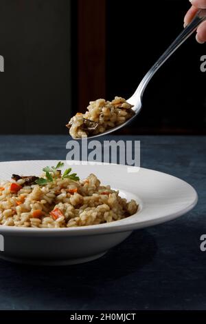 Risotto, italienischer Reis mit Pilzen, Gemüse und Petersilie auf weißem Porzellanteller serviert Stockfoto