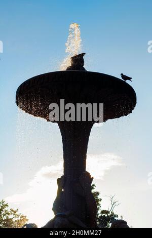 Ein Vogel thront bei Sonnenuntergang auf einem der Brunnen im Madrider Buen Retiro Park. Stockfoto