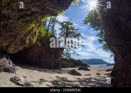 St. Josef Beach, Cape Scott Provincial Park, Vancouver Island, British Columbia, Kanada Stockfoto