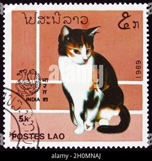 LAOS - UM 1989: Eine in Laos gedruckte Briefmarke zeigt die Hauskatze Felis silvestris catus, um 1989 Stockfoto