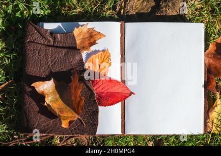 Overhead-Bild eines offenen Notizbuchs mit Herbstblättern auf dem Gras in der Nachmittagssonne Stockfoto