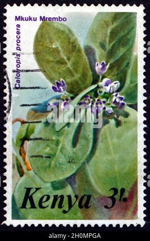 KENIA - UM 1985: Eine in Kenia gedruckte Marke zeigt den sodom-Apfel, Calotropis procera, eine blühende Pflanze, um 1985 Stockfoto