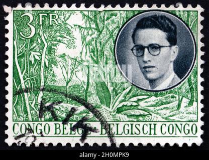 BELGISCHER KONGO - UM 1955: Eine in belgischem Kongo gedruckte Marke zeigt König und Waldblick, um 1942 Stockfoto