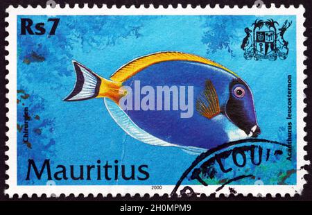 MAURITIUS - UM 2000: Eine auf Mauritius gedruckte Marke zeigt den Puderblauen tang, acanthurus leucosternon, eine Art tropischer Meeresfische, um 2000 Stockfoto