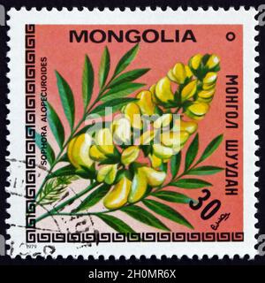 MONGOLEI - UM 1979: Eine in der Mongolei gedruckte Marke zeigt Sophora-Wurzel, Sophora-Alopecuroide, Pflanze, um 1979 Stockfoto