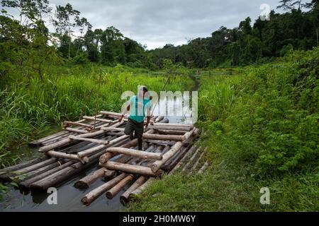 Manu, Peru - 11. April 2014: Ein junger Mann arbeitet mit dem Transport von Menschen auf einem Holzfloß im Manu National Park, Amazonas-Regenwald Stockfoto