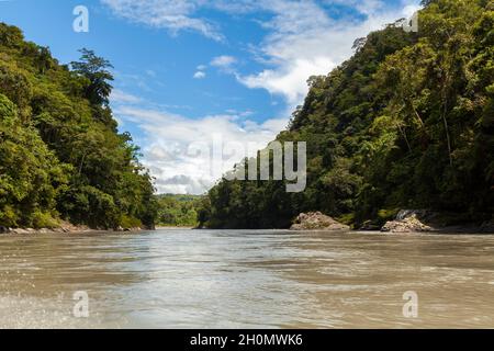 Beeindruckende Flusslandschaft aus Bäumen und dem Amazonas-Regenwald, vom Madre de Dios River aus gesehen, im Manu-Nationalpark Stockfoto