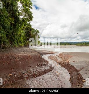 Beeindruckende Baumlandschaft und der Amazonas-Regenwald, am Ufer des Flusses Madre de Dios, im Nationalpark Manu Stockfoto