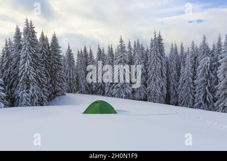 Am kalten Wintertag steht auf dem verschneiten Rasen grünes Zelt. Hohe Fichten. Touristischer Campingplatz Rastplatz. Lage Ort der Karpaten, Stockfoto