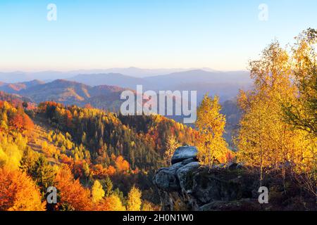 Landschaft mit wunderschönen Bergen, Feldern und Wäldern. Der Rasen wird von den Sonnenstrahlen erleuchtet. Es gibt Bäume auf dem Feld voller orangefarbener Blätter. F Stockfoto