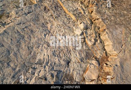 Felsformation an der Küste von Dschanhot (Russland) Nahaufnahme. Textur, Hintergrundschichten und Risse im Sedimentgestein an der Felswand. Felsschiefer in der Stockfoto