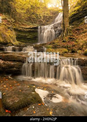 Scaleber Force, North Yorkshire im Herbst Stockfoto