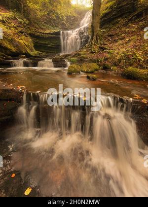 Scaleber Force, North Yorkshire im Herbst Stockfoto