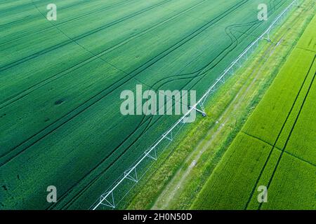 Luftaufnahme des Bewässerungs-Center Pivot-System auf Weizenfeld im Frühling schießen von Drohne Stockfoto