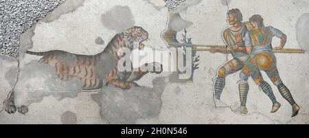 Großer Palast von Konstantinopel (oströmische Periode). Detail eines der Mosaike, die die Bürgersteige schmückten. Gladiatoren kämpfen gegen einen Tiger. Bis 6. ce Stockfoto